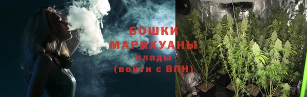 сатива Лагань