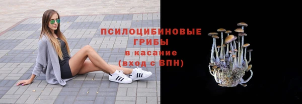 бошки Ладушкин
