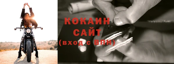 сатива Лагань
