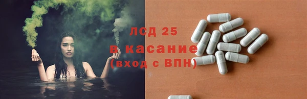 сатива Лагань