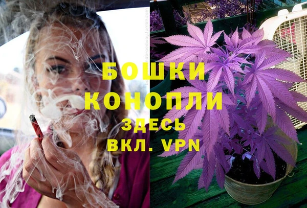 бошки Ладушкин