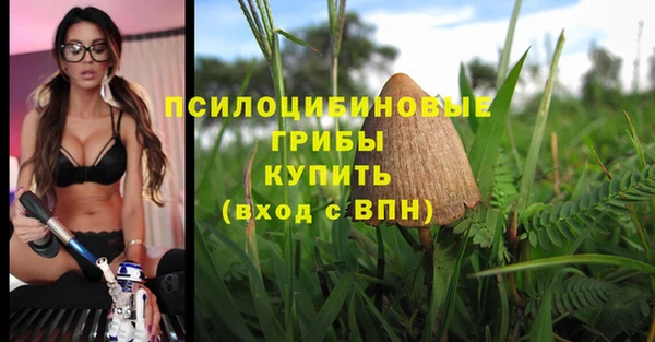 mix Лабытнанги