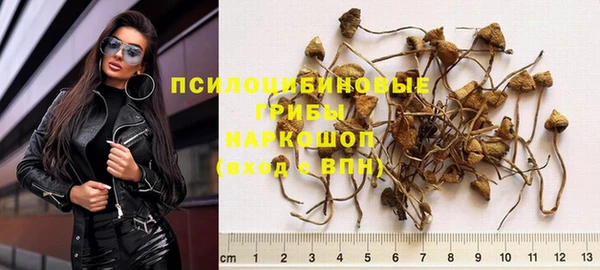 mix Лабытнанги