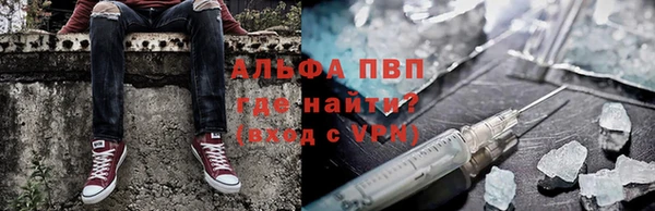 сатива Лагань