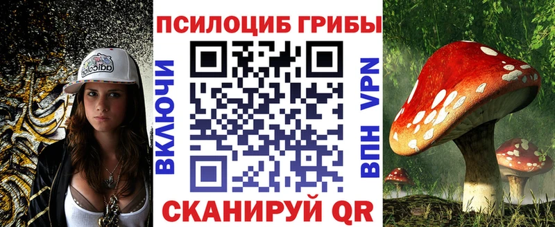 даркнет сайт  Таштагол  Псилоцибиновые грибы мухоморы 